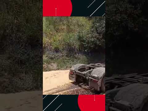 Carreta carregada com soja tomba na BR 277 em Nova Laranjeiras.