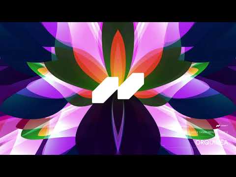 Yonathan x Yamin Bene x Dowle - Orquidea