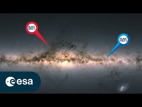 Gaia discovers a unique black hole