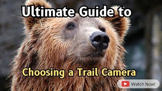 🎥 Trail Cams: Your Ultimate Buying Guide! 🦌📸