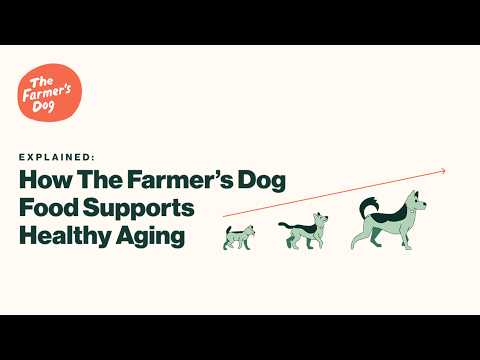 Explained: How The Farmer’s Dog Food Supports Healthy Aging