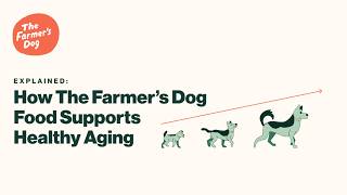 The Farmer's Dog — Explained: How The Farmer\u2019s Dog Food Supports Healthy Aging