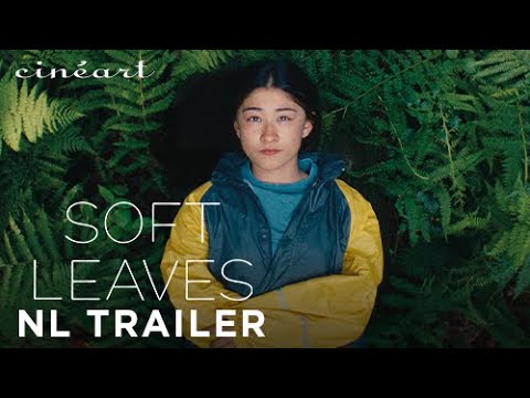 afbeelding Soft Leaves