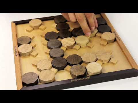 Pathagon introduction