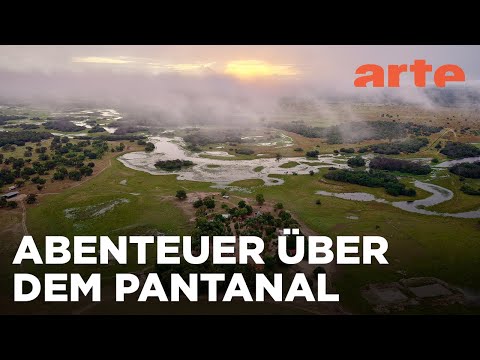 Jaguare und Kaimane, artenreiches Pantanal | Abenteuer Brasilien | ARTE Family