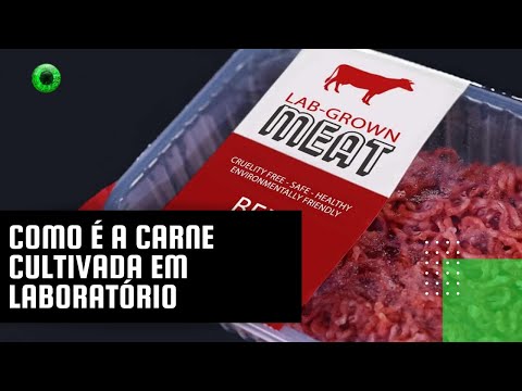 Como é a carne cultivada em laboratório