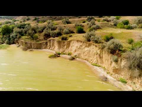 Colaj Cantari vol 1 Speranta si Prietenii - Cantarile copilariei