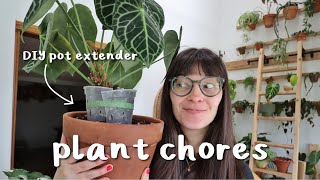 PLANT CHORES propagating, & a DIY pot extender!