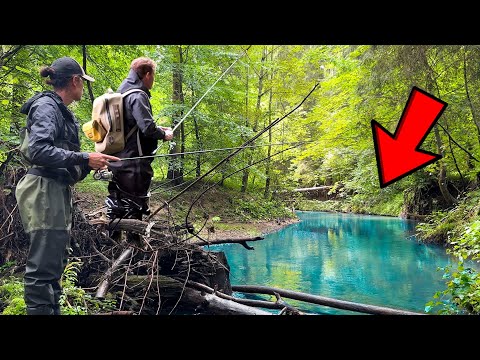 WELKE GROTE VISSEN LEVEN IN DEZE KLEINE BEEK?🤔