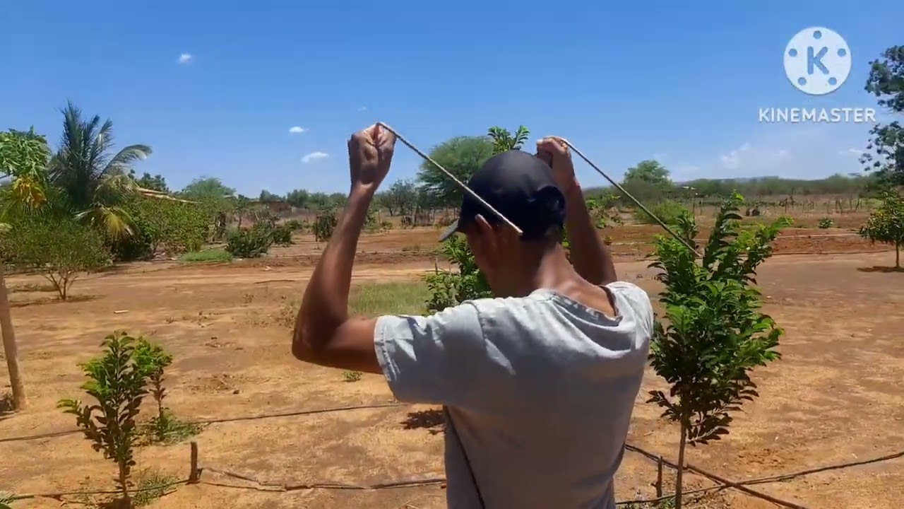 marcação de Poços Artesianos umas das melhores marcações de ligeirinho