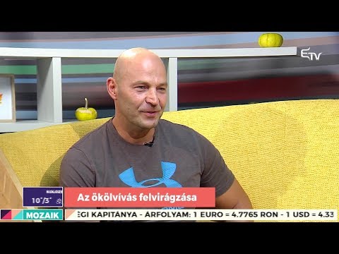 Mozaik: ökölvívás Erdélyben – 2019. november 26.