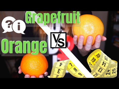 Lose belly fat with GRAPEFRUIT OR ORANGE | Which one is better for weight loss?