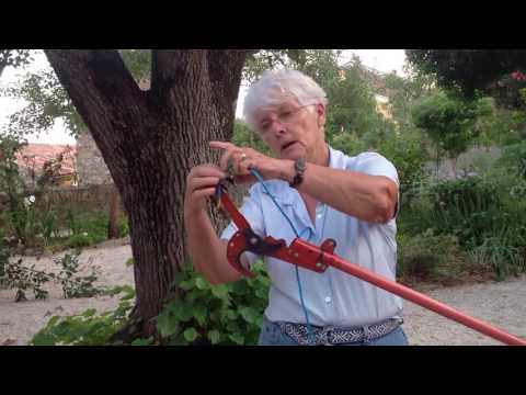The pole pruner- use and repairing