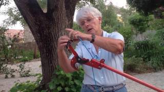 The pole pruner- use and repairing