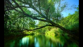 Afro Celt Sound System  - When You're Falling (lossless)