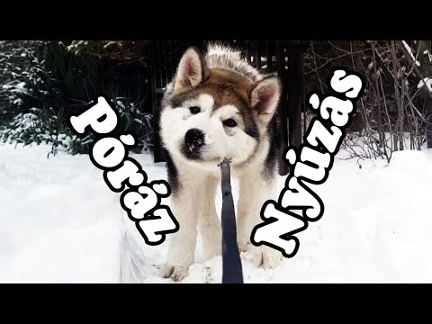 Fogyjon Ugandában - scsicsergo.hu