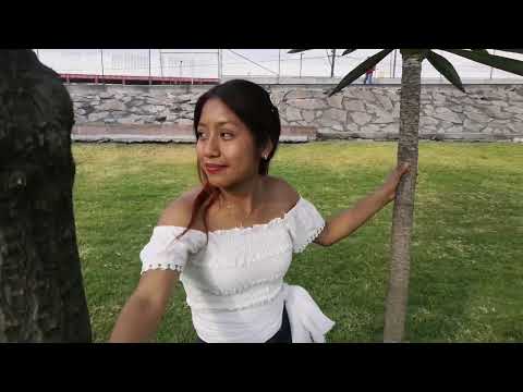 Mi Linda Vereda / Oscar Martinez " El Arrecho De La Mixteca" .