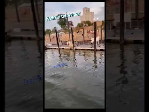 Fade in the Water (Montgomery Anthem)