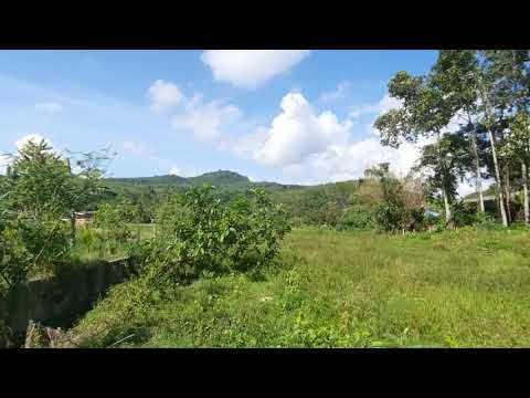 Over Two Rai of Flat Land for Sale in Ao Nang, Krabi