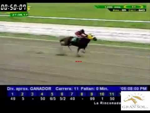 LA RINCONADA 11 CARRERA, DOMINGO 27 DE AGOSTO DE 2017