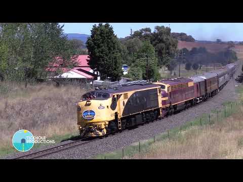 Diesel Locomotives 42103 & 4204 - Blue Suede Express - January 2018