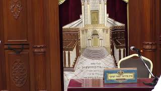 שיעורים חיים LIVE -זוהר קדוש עם הרב יהודה שהרבני -ובשעה 20:15 שיעורו בעין יעקב עם הרב משה קירזון