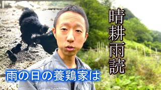 【雨の日のVlog】鶏と畑、季節の梅仕事。自然と生きる庭先養鶏家の静かな一日