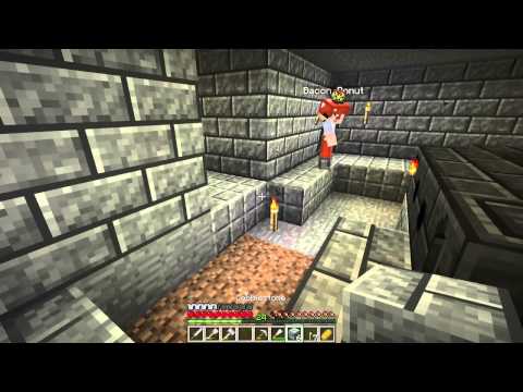 Feed the Beast : Direwolf20 - Ep. 6