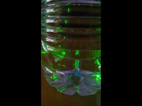 Occultatore a cerchi scuri sotto occhi Imiti rughe intorno a olio di occhi