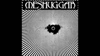 The Debt Of Nature - Meshuggah