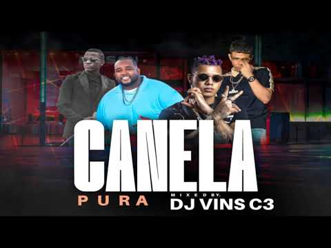 CANELA PURA MIXTAPE 2021 - @djvinsc3  PLENAS ROMANTICAS MIX