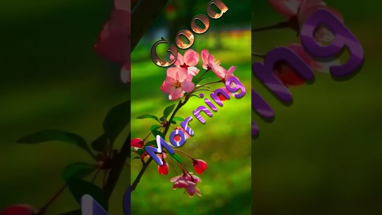 nature good morning gif animation