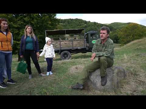 Vlog Excursie Off Road Munții Gurghiu ,  Romania