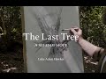 The Last Tree A Seed Of Hope In Conversation