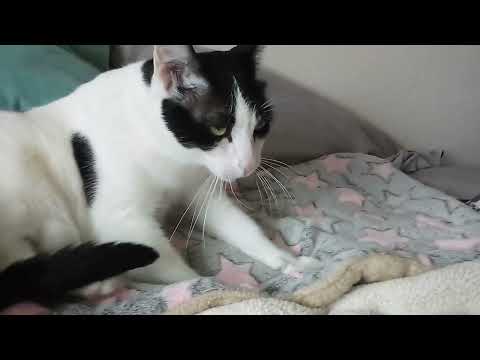 Khalida making biscuits