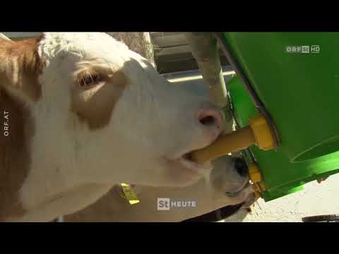 "Landwirt schafft": Gentechnikfreie Milch ORF Steiermark heute