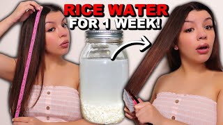 7 DAYS OF RICE WATER FOR HAIR GROWTH  BEFORE AND A