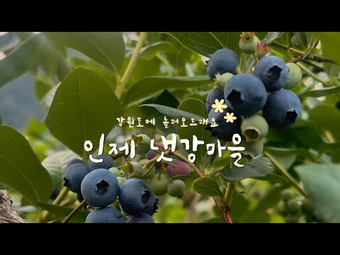 인제 냇강마을