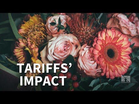 Valentine's flowers on a budget: Window for lower prices is closing fast