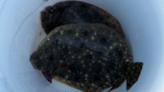 FLOUNDER! FLOUNDER! FLOUNDER! Loading the freezer Before Nov 1st!!