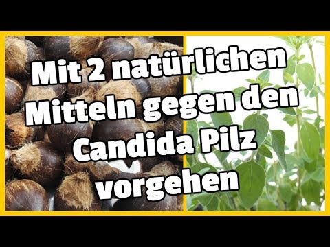 Gribok der Finger der Beine und der Hände Video prima gribok der Nägel Videos zu leben