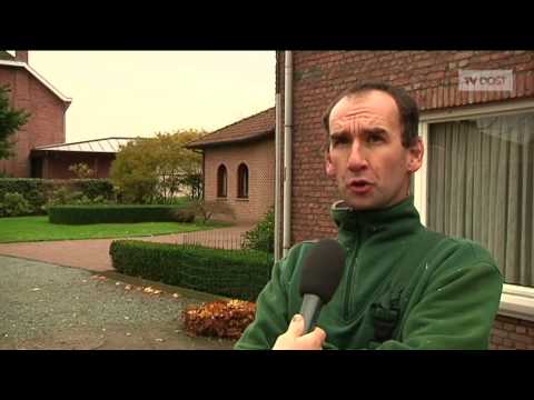 StadsTV Buggenhout - Bomen snoeien