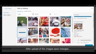 Wordpress Gallery - Upload Gallery Images