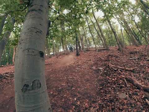 Szandaváralja hillclimb. Jarvis trail, KTM EXC 300 Six Days