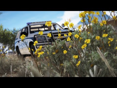 LSPDFR - Day 968 - Rushing Her to the Hospital