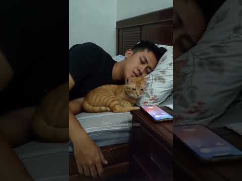 Don't Call Again, He's Sleeping