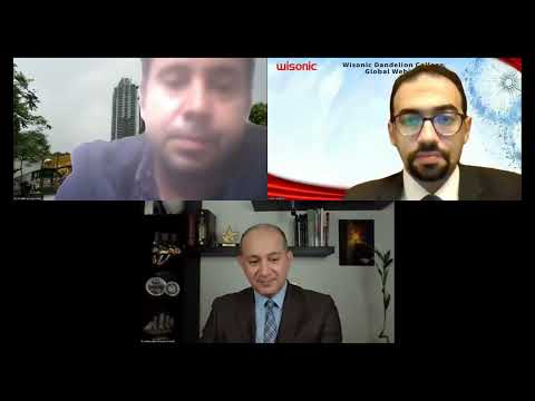 Ultrasound guided interventions for Knee Pain