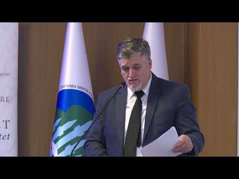 Ermal Bega - Arti dhe arkitektura islame e xhamive të Shqipërisë sot