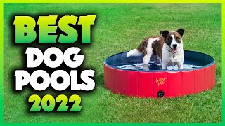 Top 5 Best Dog Pools You can Buy Right Now [2023]