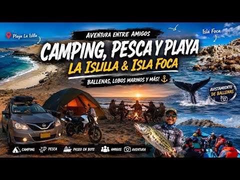 PIURA - PAITA 🇵🇪 | Camping, Fogata y Pesca en Playa La Grama | La Islilla, Isla Foca y Ballenas 🐋 ⭐